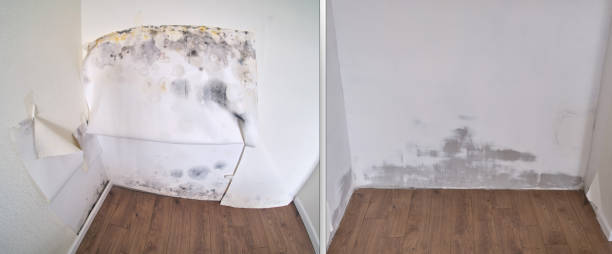 Water damage restoration process