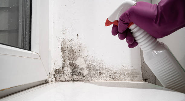 Local water damage restoration